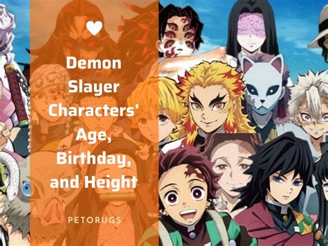 Demon Slayer Characters: Ages, Birthdays, And Heights